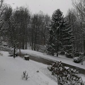 Meet your Posher, Sterling